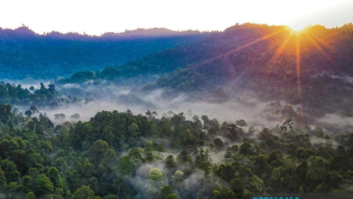 Kelantan Pledges Forest Replacement for Degazetted Reserves