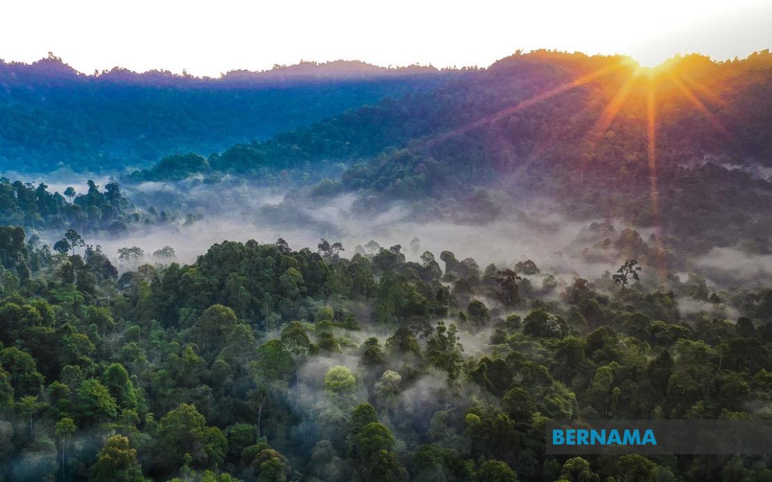 Kelantan Pledges Forest Replacement for Degazetted Reserves