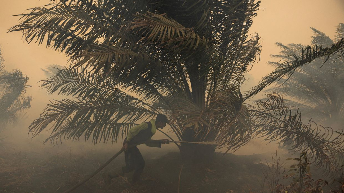 Japan deploys helicopters to fight Kalimantan fires as pollution index hits hazardous levels