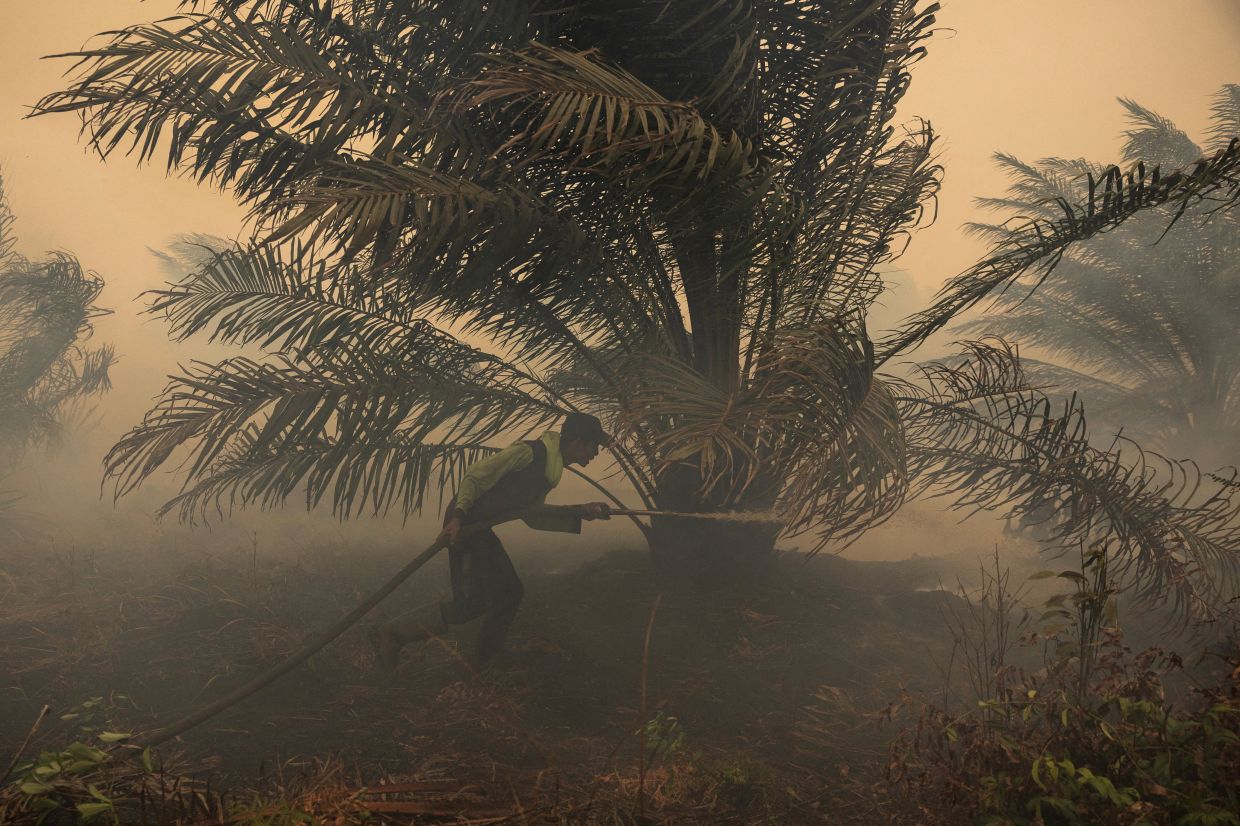 Japan deploys helicopters to fight Kalimantan fires as pollution index hits hazardous levels