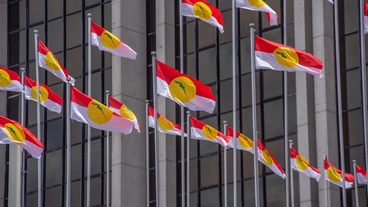 Perlis Umno Plans Solo Bid for All Seats in Next Election