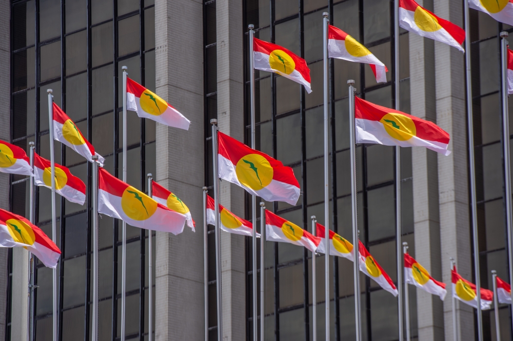 Perlis Umno Plans Solo Bid for All Seats in Next Election
