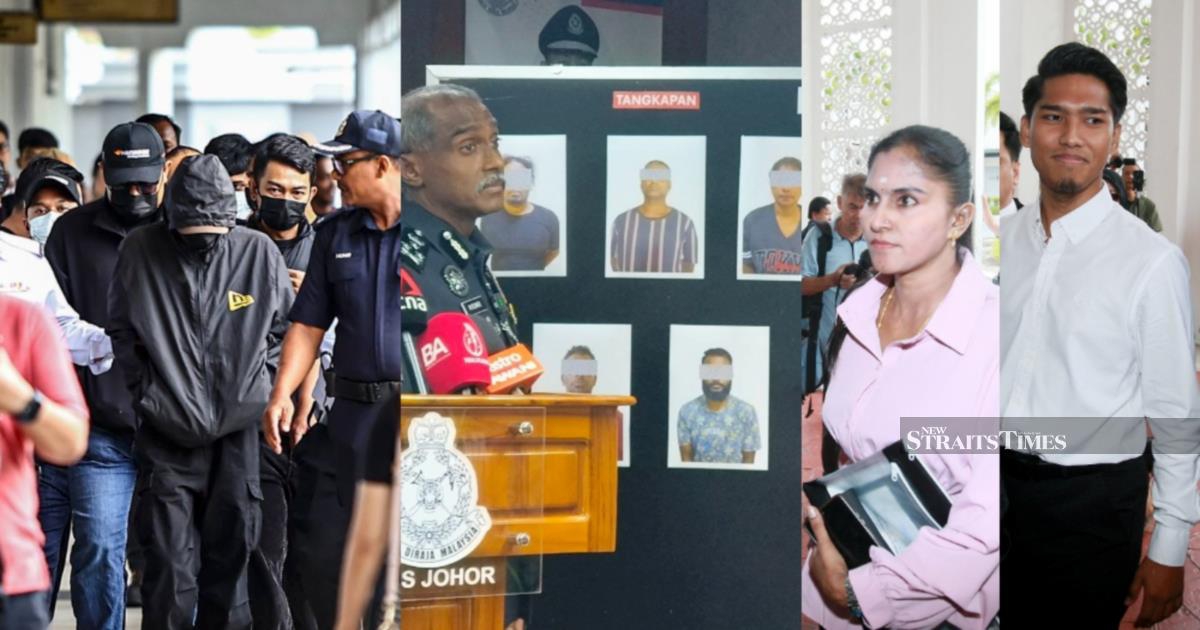 Dog dispute, highway tragedy and Singapore abduction: High-profile cases converge in Malaysian courts
