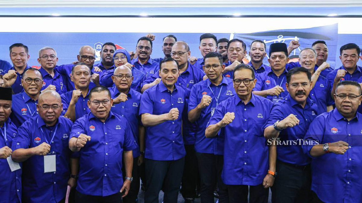 BN rules out coalition partnerships in Johor, vows to govern solo if victory secured