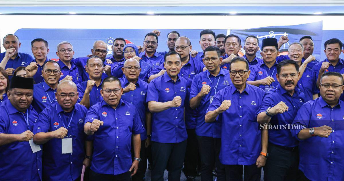 BN rules out coalition partnerships in Johor, vows to govern solo if victory secured