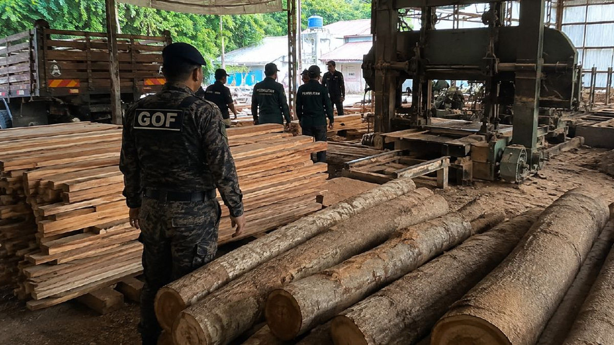 Timber and equipment worth RM640,510 seized in Terengganu sawmill raid