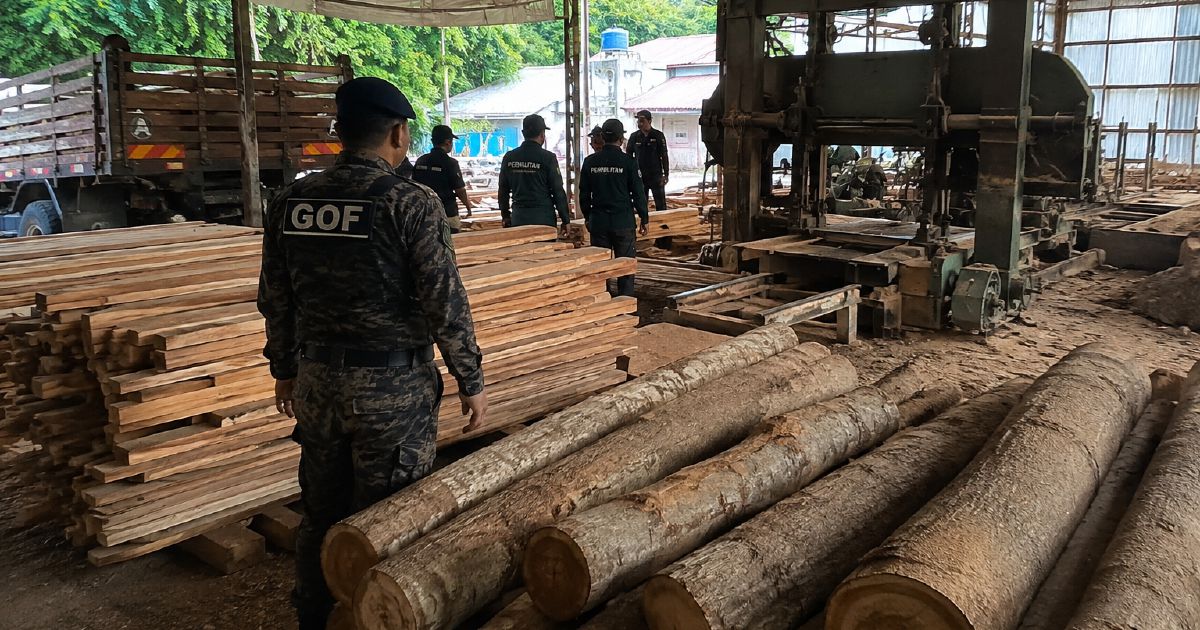 Timber and equipment worth RM640,510 seized in Terengganu sawmill raid