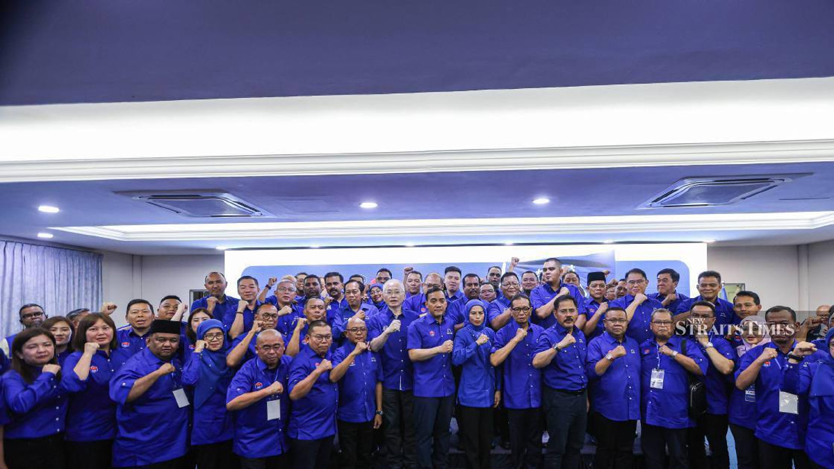 Barisan Nasional Fields 56 Candidates for July 11 Johor Election