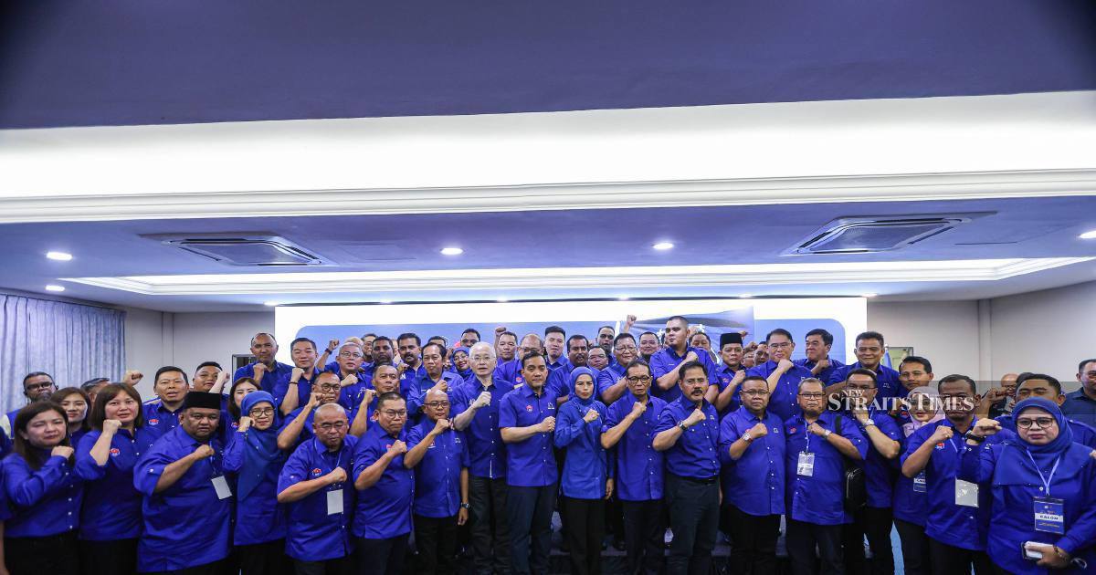 Barisan Nasional Fields 56 Candidates for July 11 Johor Election