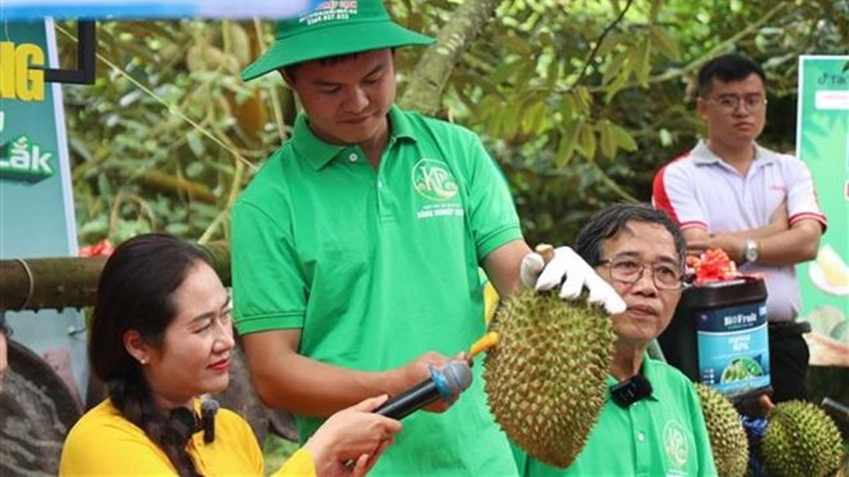 Vietnam's Durian Export Boom Faces Growing Pains as Certification System Under Fire