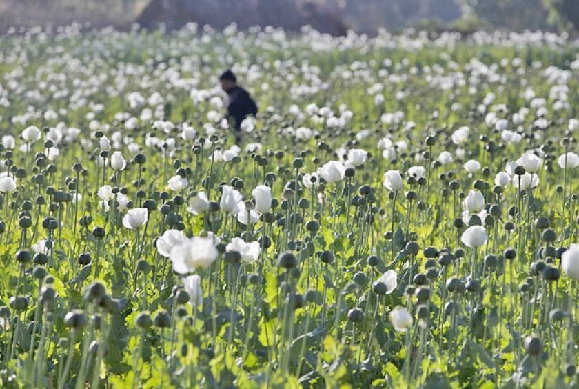 Myanmar police seize 17.6 kg heroin and million stimulant pills in major drug bust