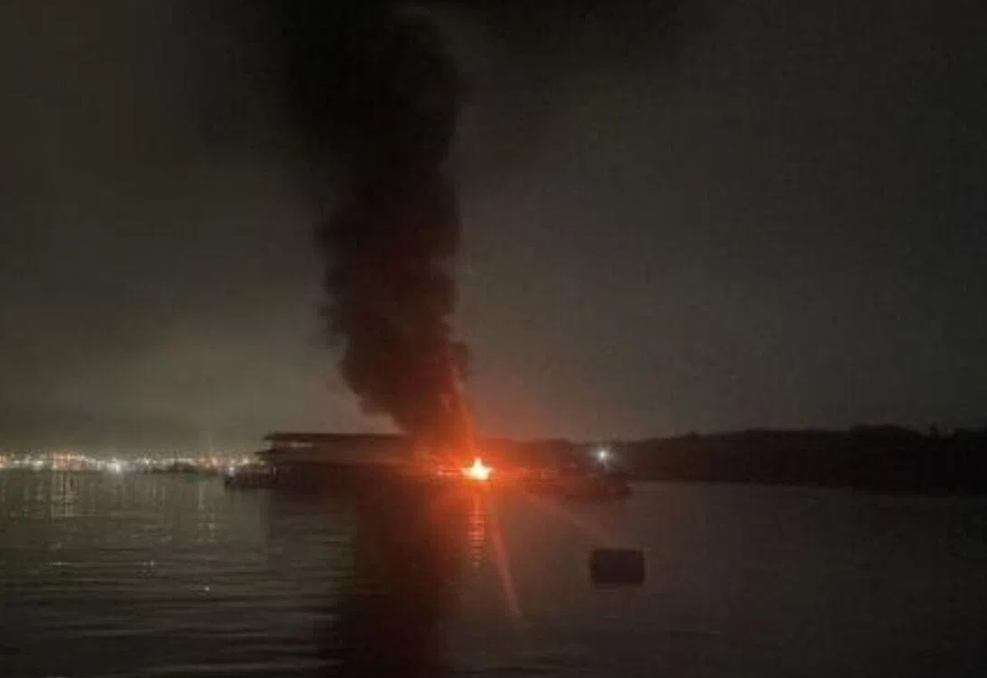 Lightning strike destroys floating fish farms near Singapore's Pulau Ubin, causing heavy losses