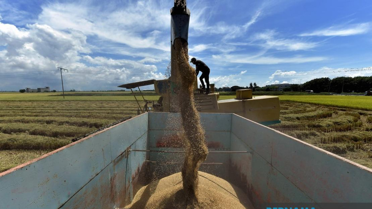 Parliament Fast-Tracks Rice Price Controls With Stricter Penalties Under Amended Act