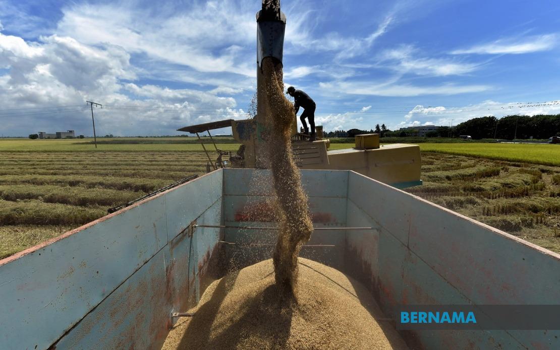 Parliament Fast-Tracks Rice Price Controls With Stricter Penalties Under Amended Act