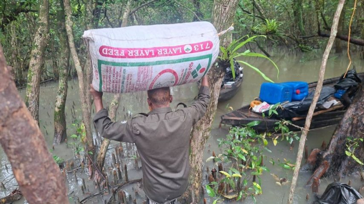 Bangladesh busts illegal shrimp operation laced with poison in UNESCO-protected Sundarbans