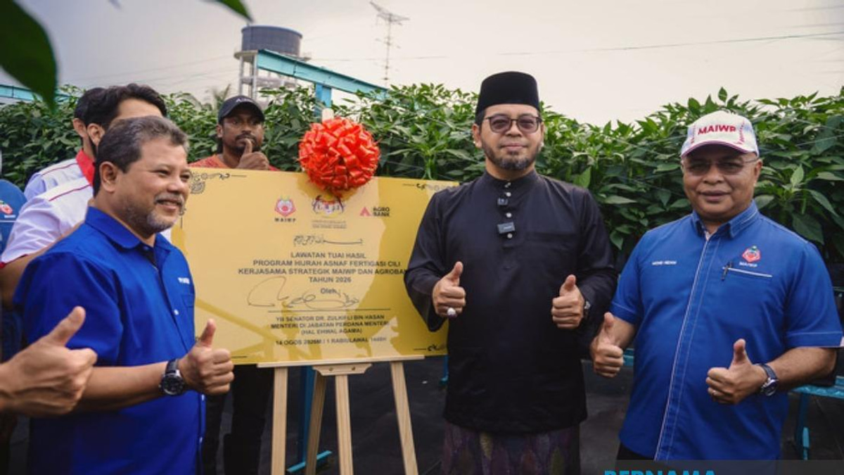 MAIWP Scales Up Asnaf Chilli Farming with Fertigation Expansion to Five Acres
