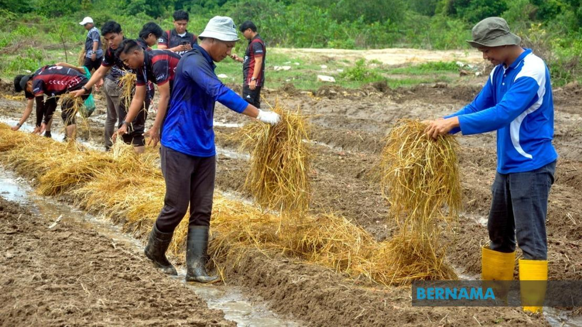 Agricultural TVET Graduate Employment Climbs to 76%, Yet Lags Behind National Average