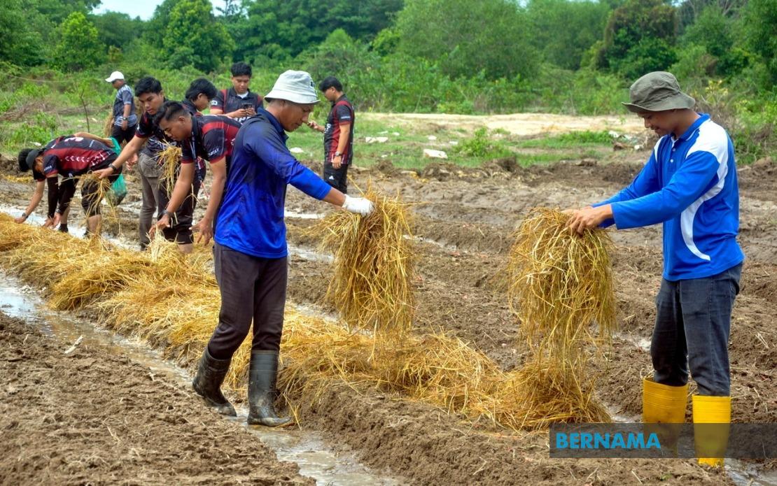 Agricultural TVET Graduate Employment Climbs to 76%, Yet Lags Behind National Average
