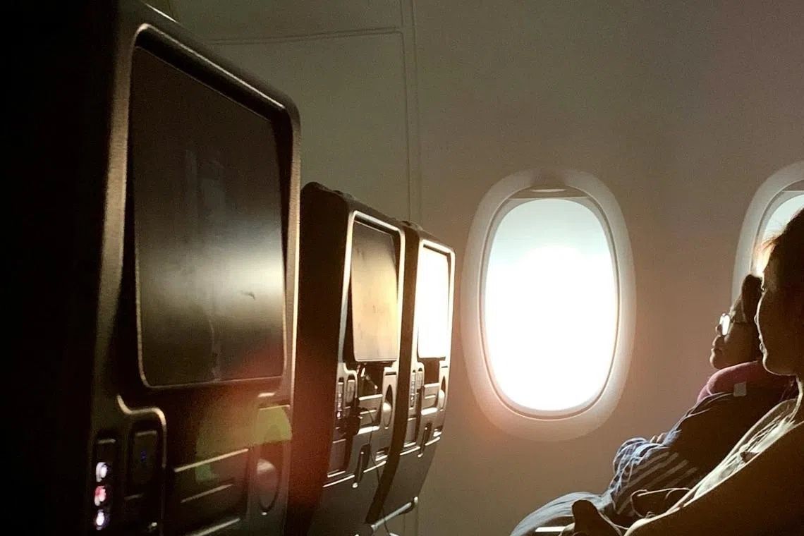 South Korean Teen Petitions Government Over Uncensored In-Flight Entertainment