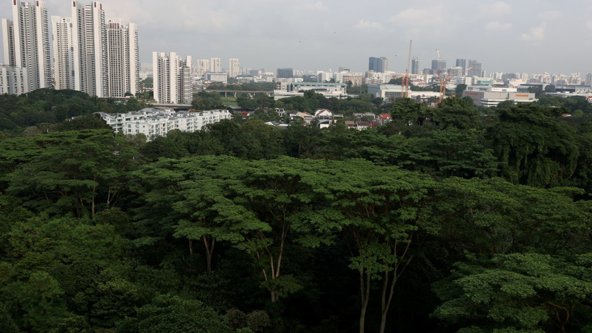 Singapore arrests three self-radicalised teenagers in foiled attack plots
