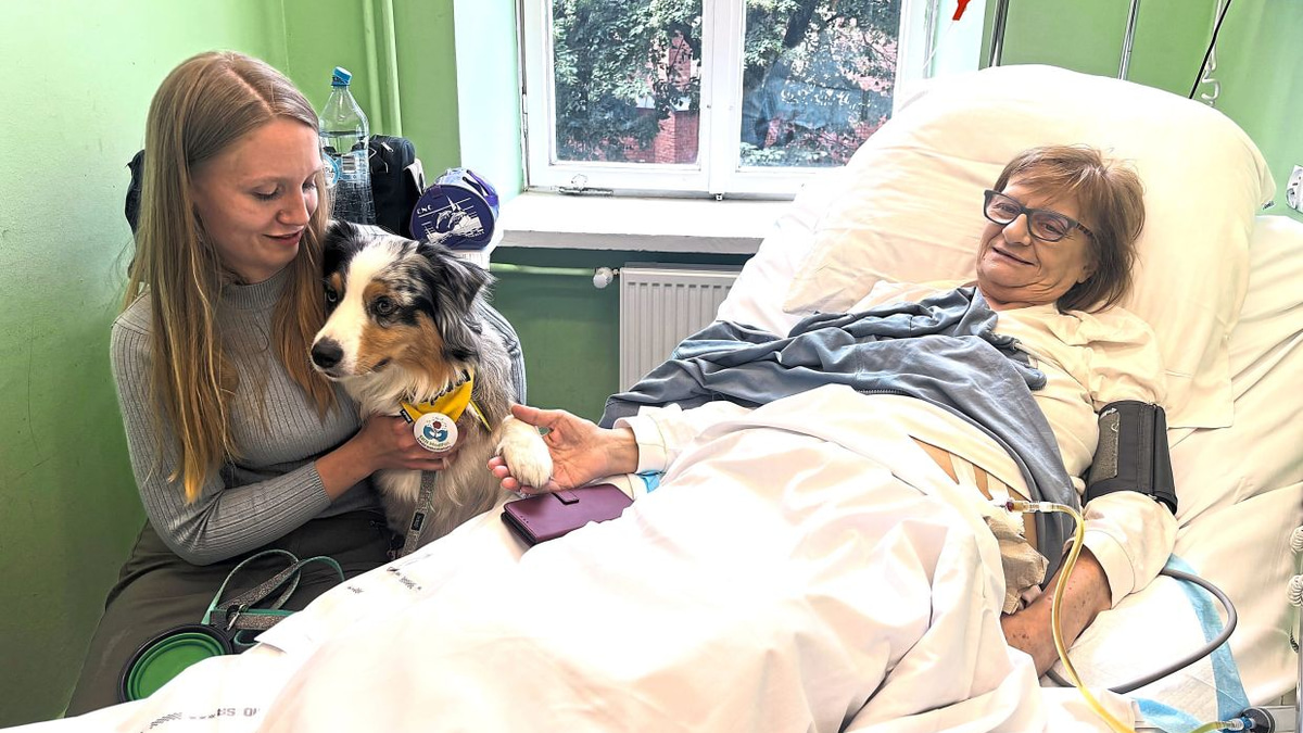 Poland moves to enshrine pet visitation rights in hospice wards as doctors champion animal companionship for the dying