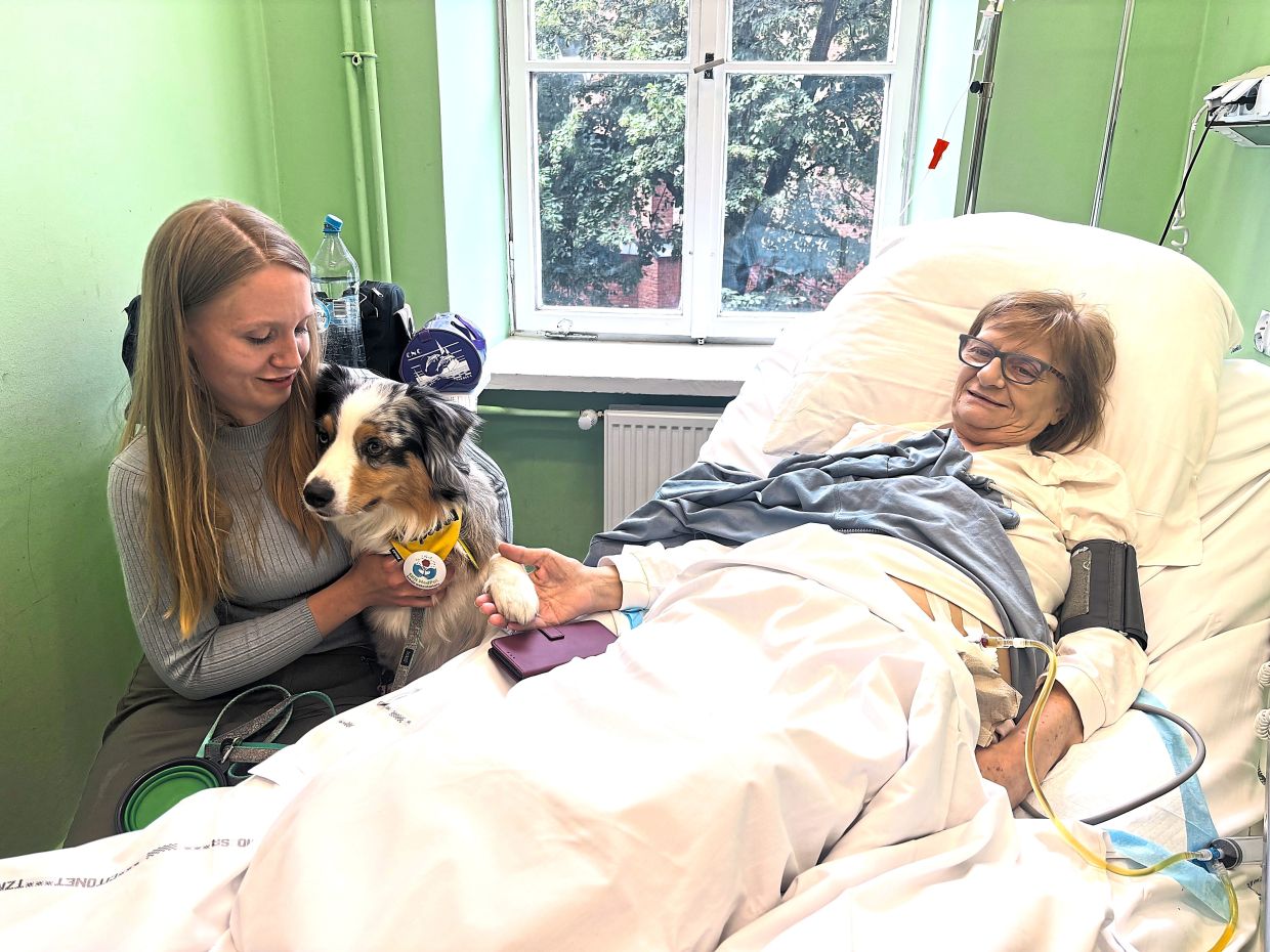 Poland moves to enshrine pet visitation rights in hospice wards as doctors champion animal companionship for the dying