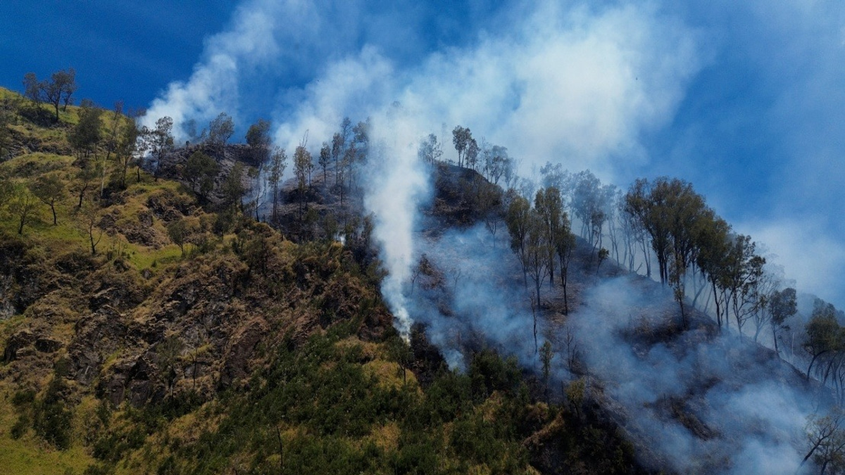 Indonesia Shuts Mount Bromo to Visitors as Wildfire Burns Through East Java