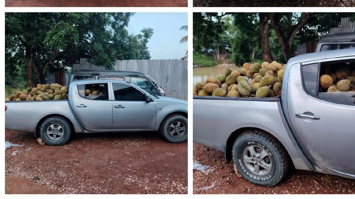 Part-time driver arrested with 700kg of suspected smuggled durians in Rantau Panjang
