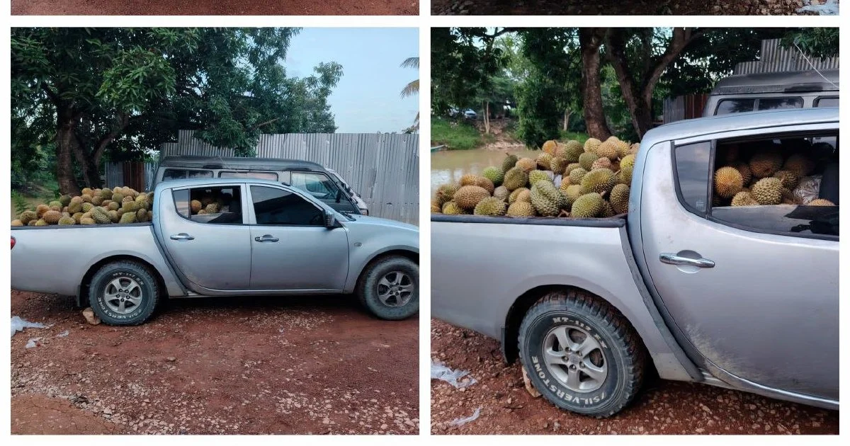 Part-time driver arrested with 700kg of suspected smuggled durians in Rantau Panjang