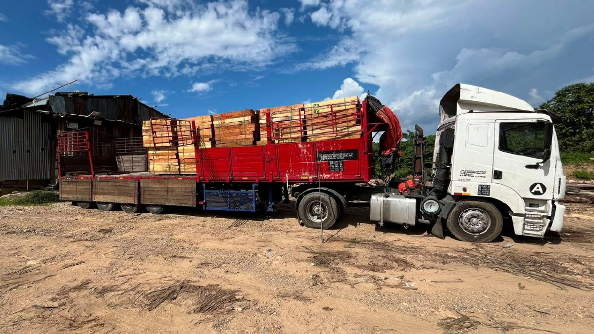 Five detained as authorities dismantle major illegal timber operation in Kelantan