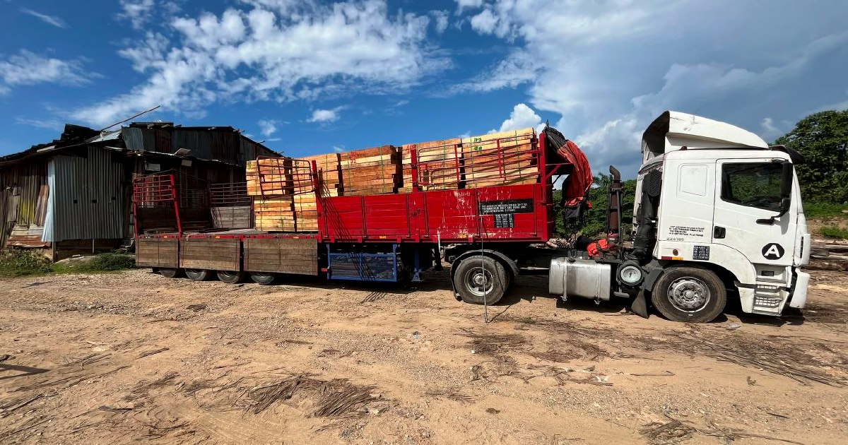 Five detained as authorities dismantle major illegal timber operation in Kelantan