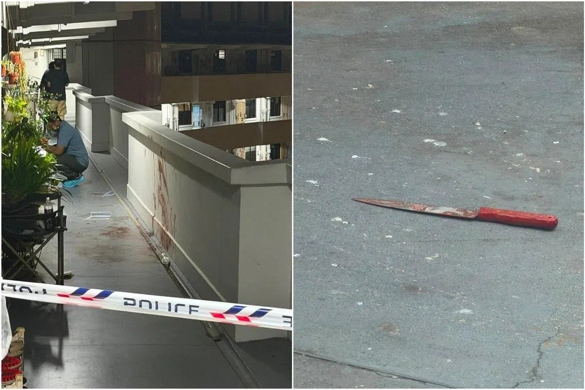 Singapore Man Charged with Neighbour's Murder in Lengkok Bahru Flat
