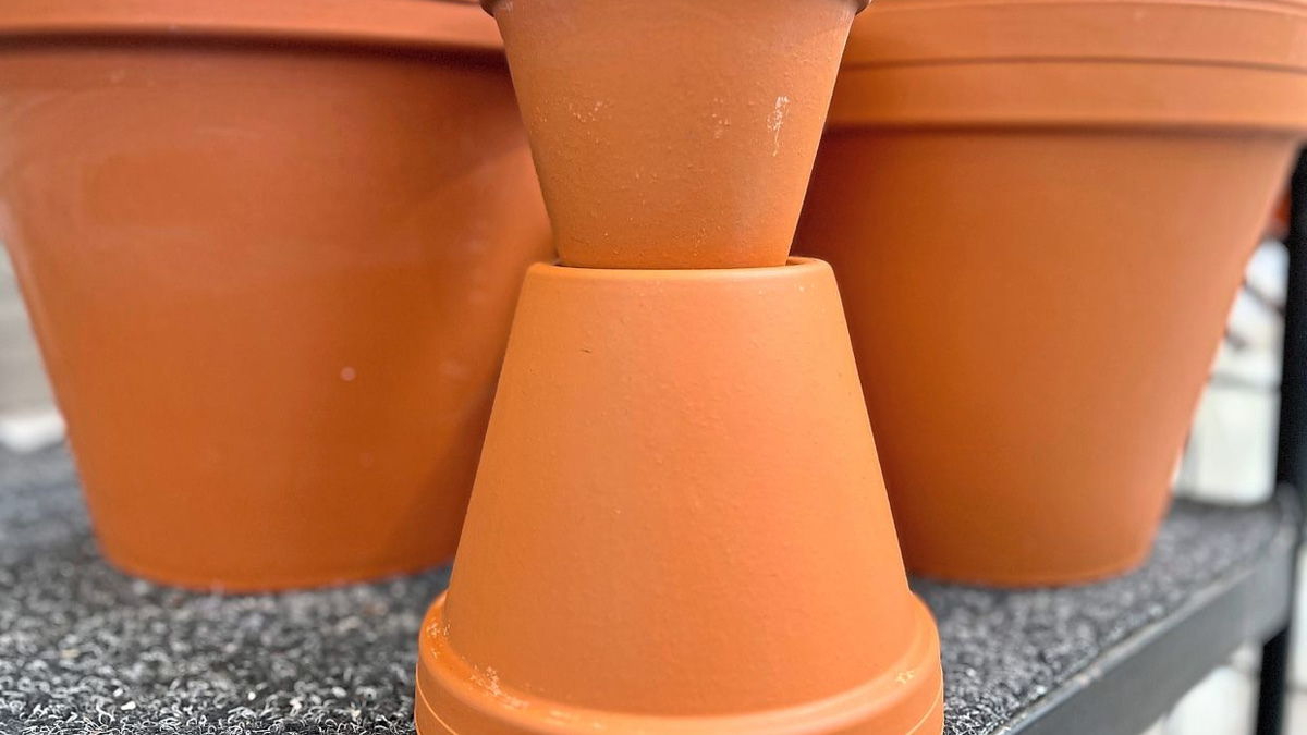 Protecting Malaysian Gardens from Microplastic Contamination: Practical Steps for Conscious Gardeners
