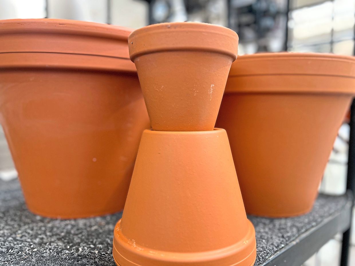 Protecting Malaysian Gardens from Microplastic Contamination: Practical Steps for Conscious Gardeners