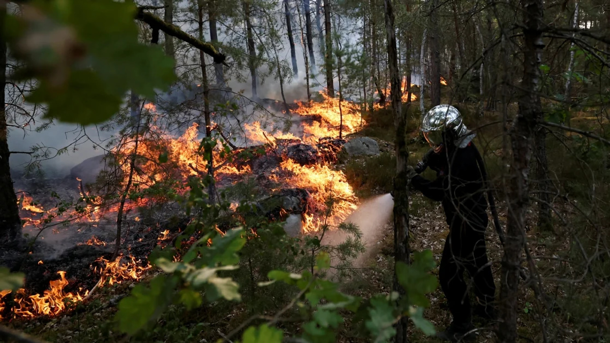 Massive forest fires destroy 1,300 hectares south of Paris; arson suspected