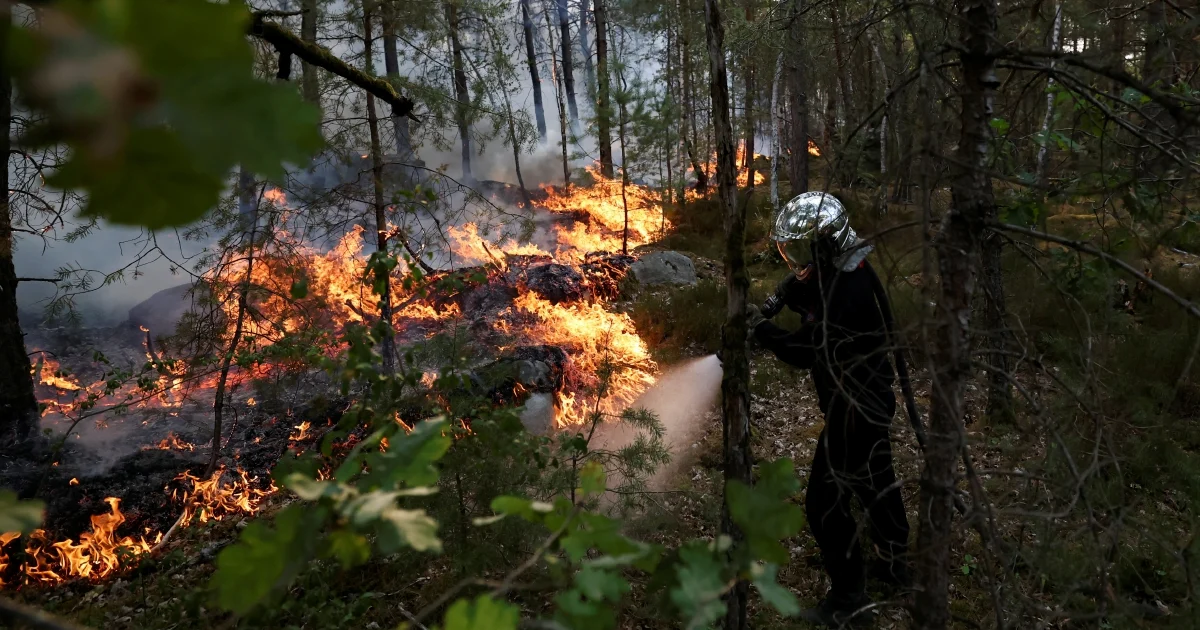 Massive forest fires destroy 1,300 hectares south of Paris; arson suspected
