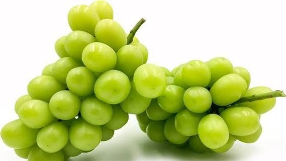 Japanese Man Arrested Over RM36,000 Grape Heist in Okayama