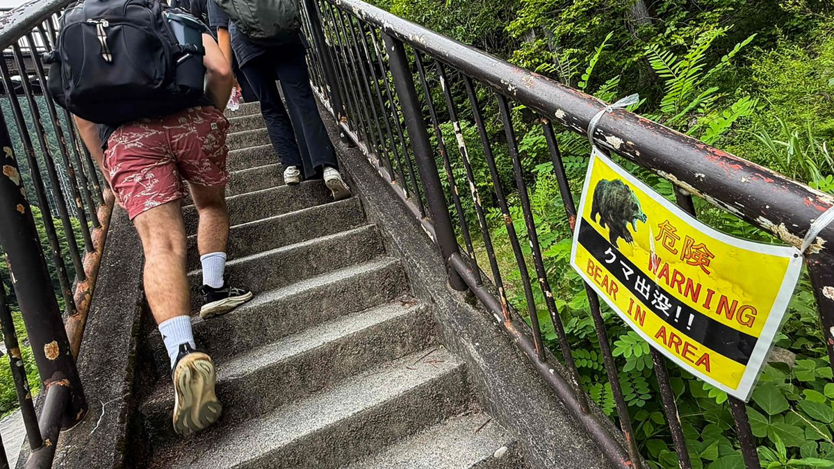 Japan Deploys Hundreds of Cameras to Track Surging Bear Population in Mountain Crisis
