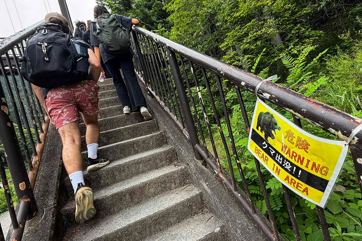Japan Deploys Hundreds of Cameras to Track Surging Bear Population in Mountain Crisis