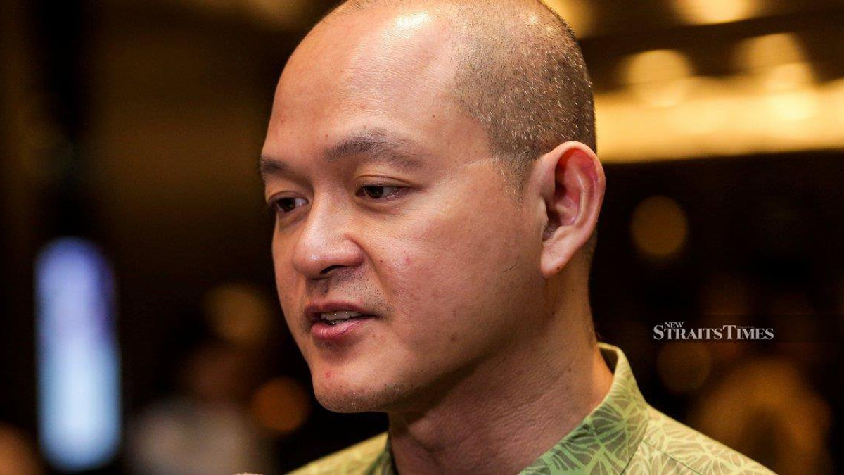 Former DAP lawmaker urges party to leave cabinet coalition