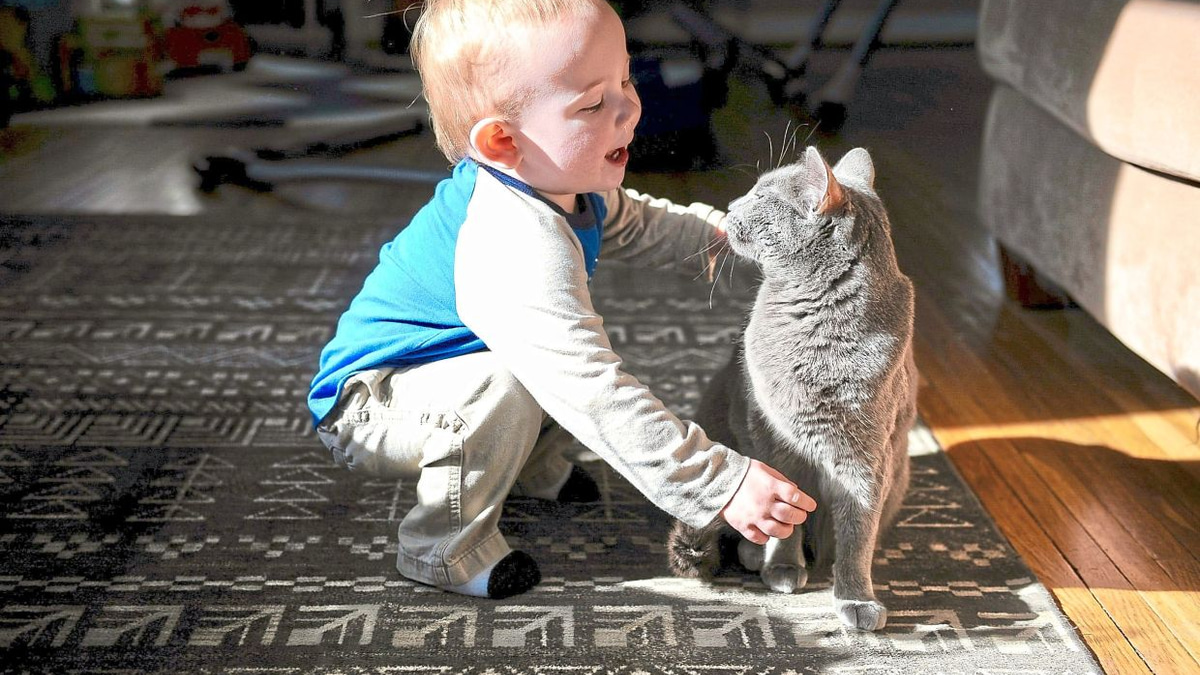 Swedish Study Finds No Link Between Pet Cats and Worsened Asthma in Children
