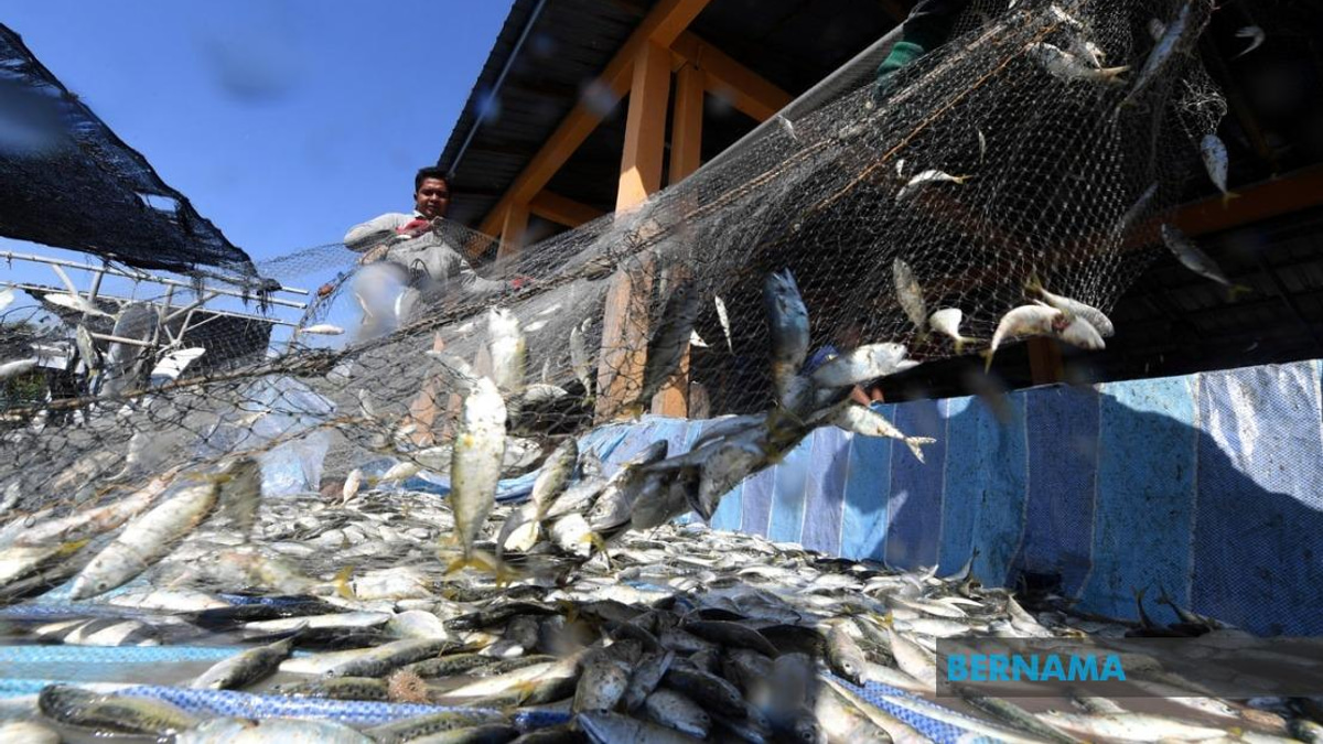 Government Allocates RM10 Million for Fishermen Housing Programme Rollout