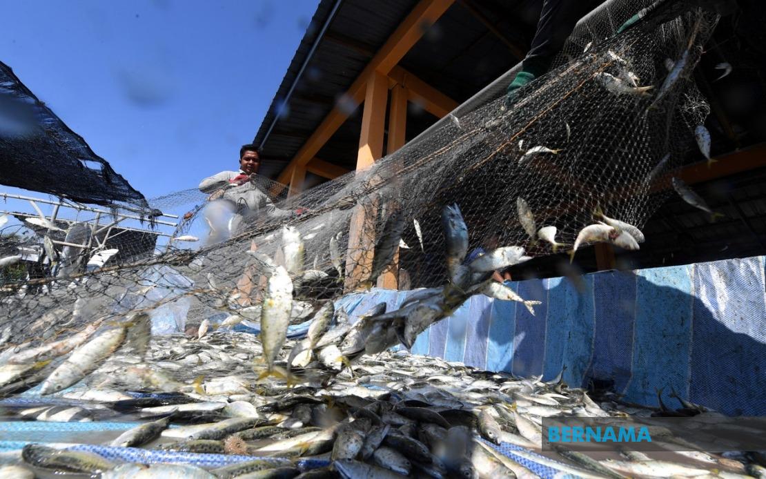 Government Allocates RM10 Million for Fishermen Housing Programme Rollout