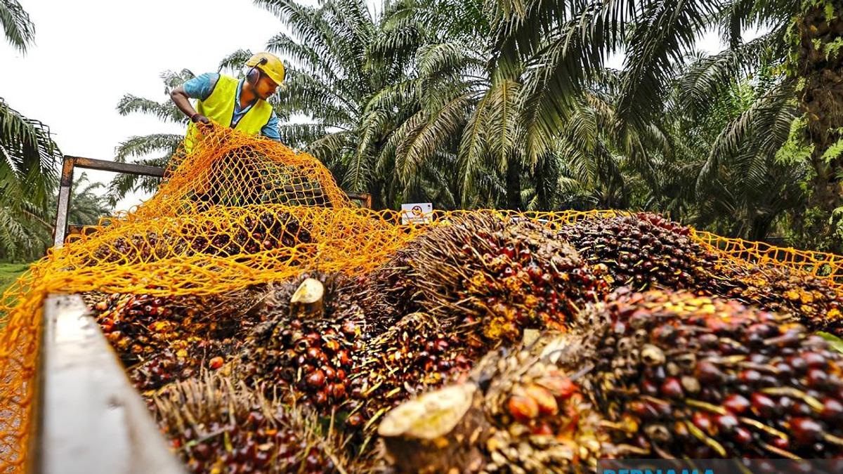 MPOB Research Station to Transform Melaka's Palm Oil Sector with RM20-25 Million Investment
