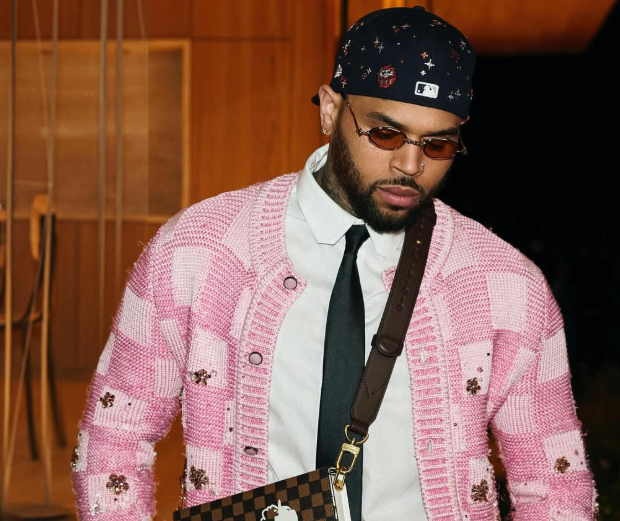 Chris Brown ordered to pay RM53mil over dog mauling incident
