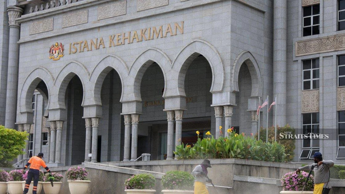 Federal Court Upholds Finding of Possible Witness Pressure in Syed Saddiq Case