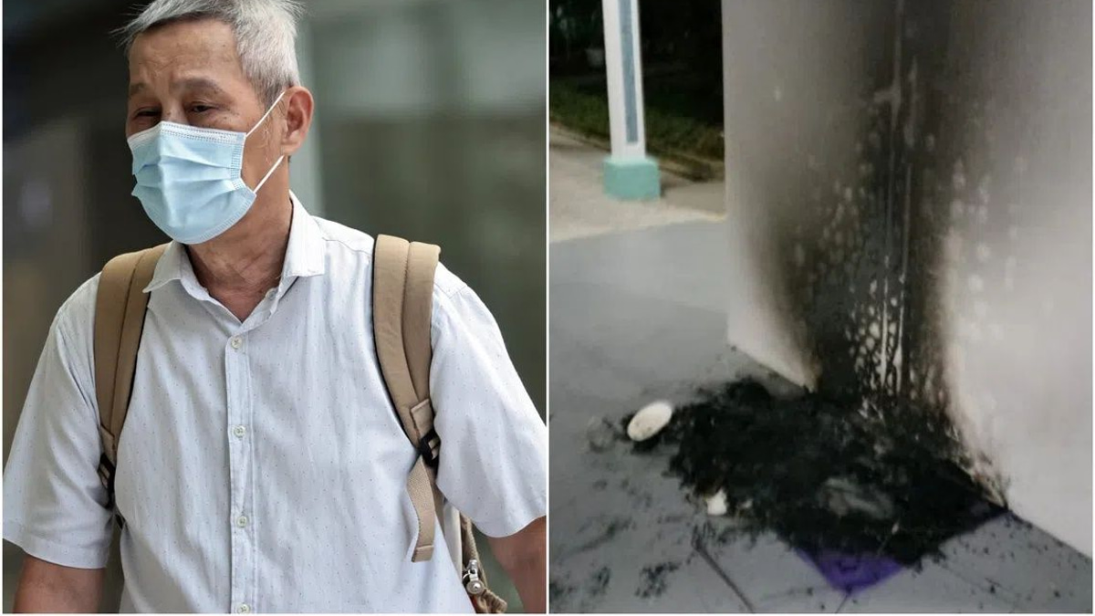 Singapore man jailed three months for torching community cat shelters in residential dispute