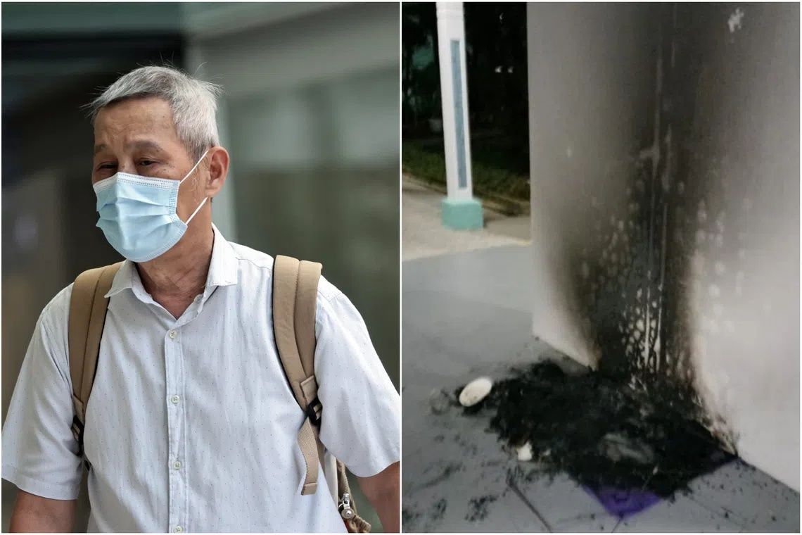 Singapore man jailed three months for torching community cat shelters in residential dispute