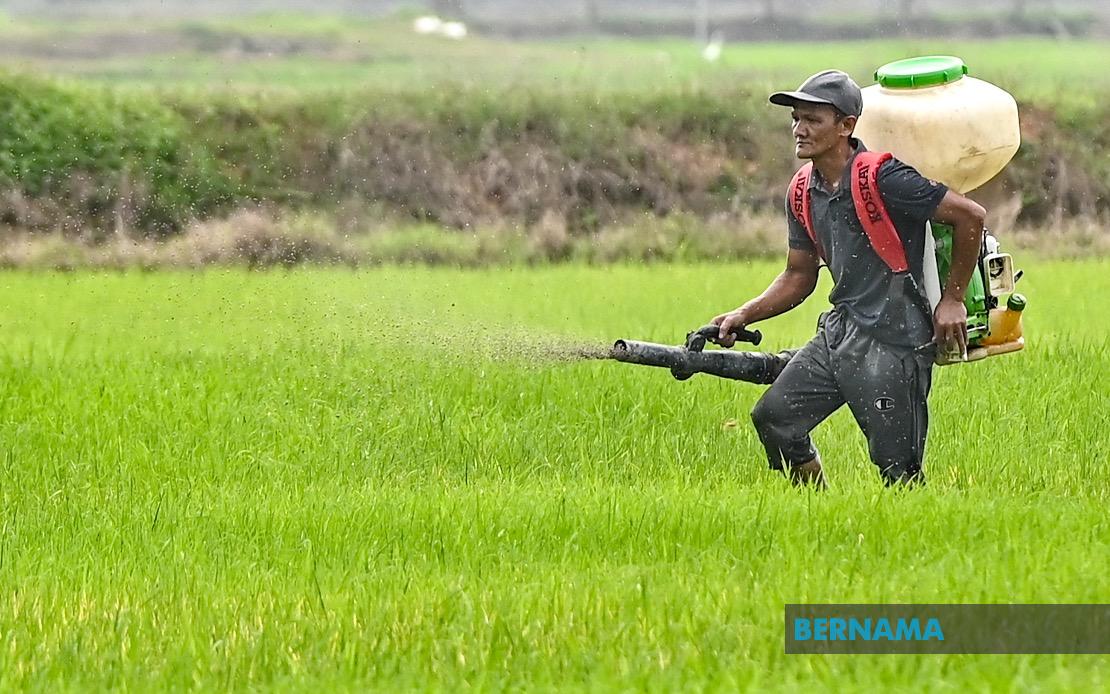 Kelantan Invests RM3.64 Million in Agriculture Push, Targeting Food Security Goals
