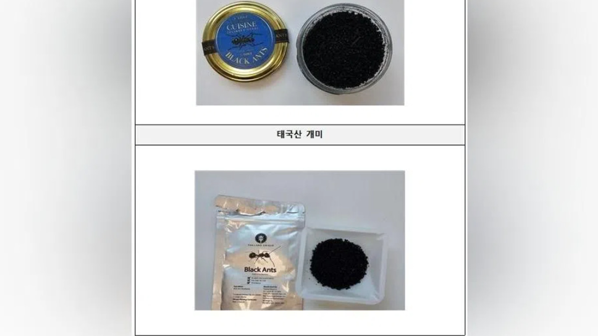 South Korea's Michelin-starred chef faces jail over illegal ant garnish